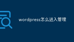 So betreten Sie die WordPress-Verwaltung