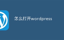 怎么打开wordpress