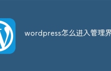 wordpress怎么进入管理界面