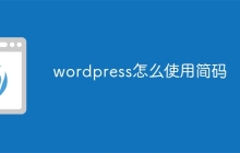 wordpress怎么使用简码