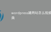 wordpress建网站怎么视频分类