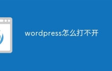 wordpress怎么打不开