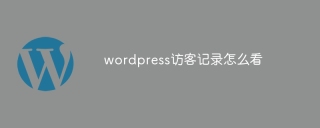 wordpress访客记录怎么看