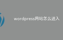 wordpress网站怎么进入