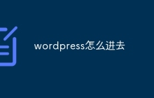 wordpress怎么进去