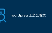 wordpress上怎么看文