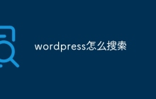 wordpress怎么搜索