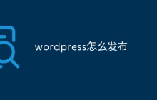 wordpress怎么发布