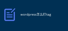 wordpress怎麼打tag