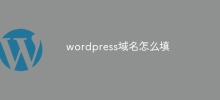 Comment remplir un nom de domaine WordPress