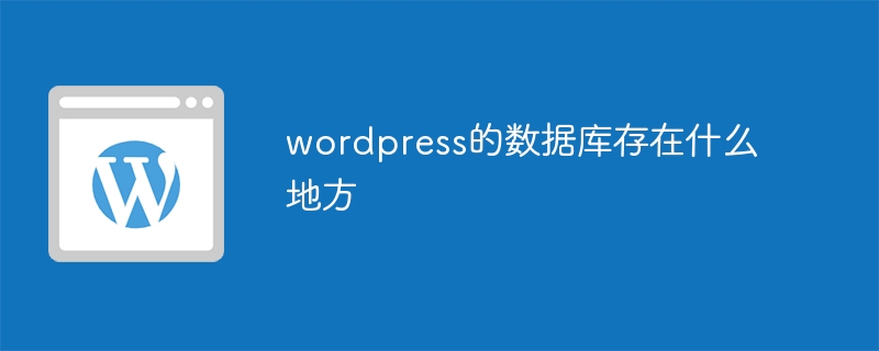 WordPress データベースはどこにありますか?