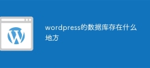 wordpress的数据库存在什么地方