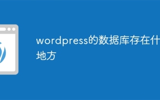 wordpress的数据库存在什么地方