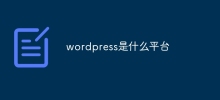 Apakah platform wordpress?