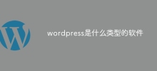 Apakah jenis perisian wordpress?