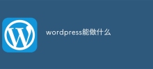 apa yang wordpress boleh buat