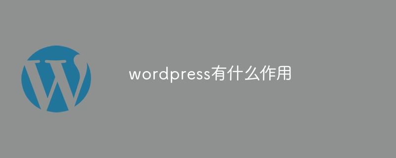 Que fait WordPress ?