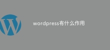 Apa yang wordpress lakukan?