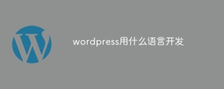 wordpress用什么语言开发