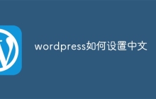 wordpress如何设置中文