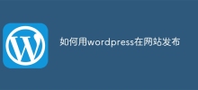 如何用wordpress在網站發布