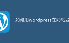如何用wordpress在网站发布