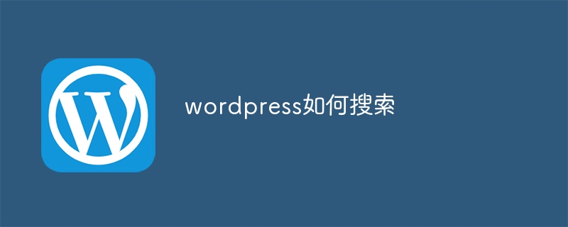 wordpress如何搜索-WordPress-