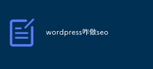 How to do SEO in WordPress