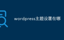 wordpress主题设置在哪