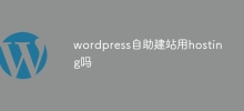 wordpress自助建站用hosting嗎
