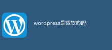 wordpress是微軟的嗎