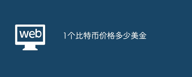 1个比特币价格多少美金