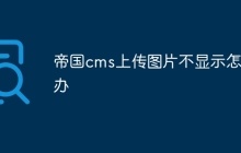 帝国cms上传图片不显示怎么办