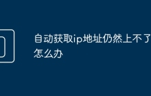 自动获取ip地址仍然上不了网怎么办