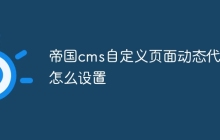 帝国cms自定义页面动态代码怎么设置