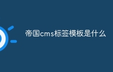 帝国cms标签模板是什么