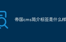 帝国cms简介标签是什么样的