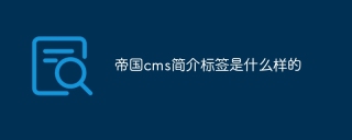 帝国cms简介标签是什么样的