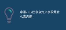 帝國cms欄自訂欄位是什麼意思啊