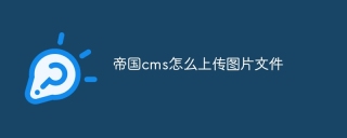 帝国cms怎么上传图片文件