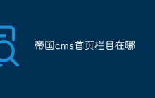 帝国cms首页栏目在哪