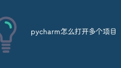 How to open multiple projects in pycharm