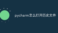 How to open history files in pycharm