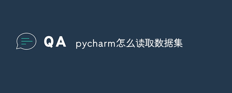 pycharm에서 데이터 세트를 읽는 방법