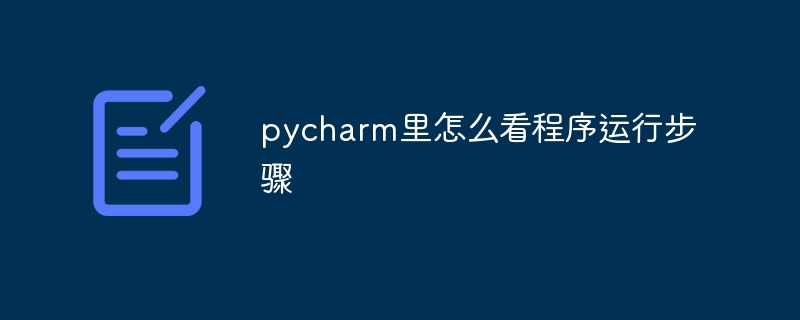 Bagaimana untuk melihat langkah-langkah menjalankan program dalam pycharm