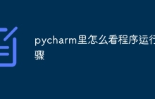 pycharm里怎么看程序运行步骤