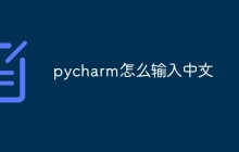 pycharm怎么输入中文
