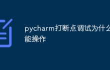 pycharm打断点调试为什么不能操作