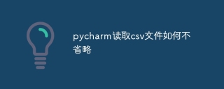 pycharm读取csv文件如何不省略