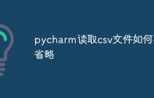 pycharm读取csv文件如何不省略